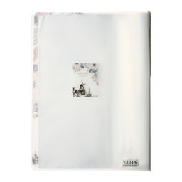 Папка формат А4, с 30 прозрачными файлами, Город, МИКС - Calligrata фото 9