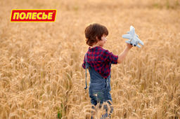 Самолёт-истребитель Шторм (в пакете) - Полесье фото 7