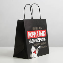 Цена за 2 шт. Пакет подарочный новогодний «Нормально надо отвечать», 22×22×11 см