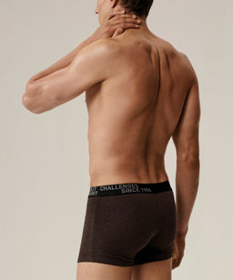 ATLANTIC 3MH-226 Трусы шорты Melange - набор 3 шт. темно-серый меланж + медно-багряный меланж + коричневый меланж фото 3