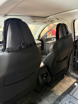 Короткий ворс (Австралия) + литой модуль