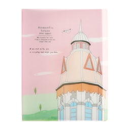 Папка формат А4, с 40 прозрачными файлами, Достопримечательность МИКС - Calligrata фото 2