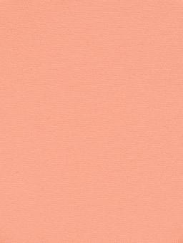 Romantic Note Румяна Blush, тон 05