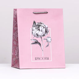 Подарочный пакет Красоты, 18 х 22,3 х 10 см