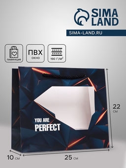 Цена за 2 шт. Пакет подарочный с окном Perfect, 25?10?22 см