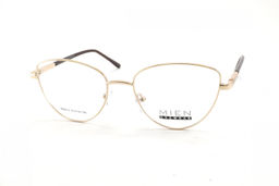 MIEN 810 C1 53-16-138