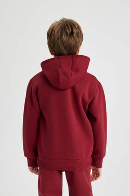 Толстая толстовка с капюшоном и принтом для мальчиков - Defacto фото 5