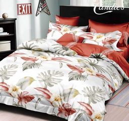 КПБ Candies Cotton AB CANC053 2 спальный