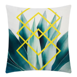 Наволочка декоративная Этель Тропики Кактус 40х40 см, велюр