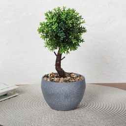 Цветочная композиция Зелень самшит 22 см / 9090-11 /уп 12/72/ - Галеонтрейд фото 7