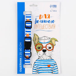 Ошейник Для большого путешествия, застёжка - фастекс, 2 см 25-40 см