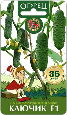 Огурец Ключик F1