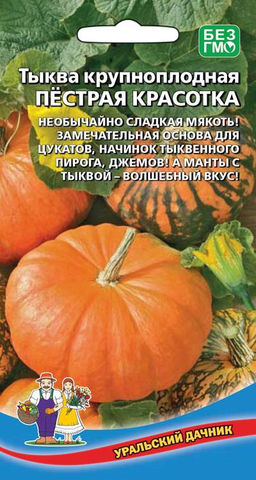 Тыква ПЁСТРАЯ КРАСОТКА Необычайно сладкая мякоть! Замечательная основа для цукатов, начинок тыквенного пирога, джемов! А манты с тыквой волшебный вкус!