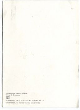 Открытка Английский кокер  спаниэль