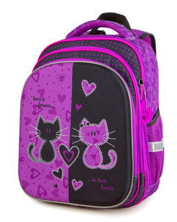 Школьный рюкзак SK2-28