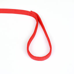 Поводок двухслойный с усиленным карабином, 3 м х 2 см, красный - Пижон фото 3