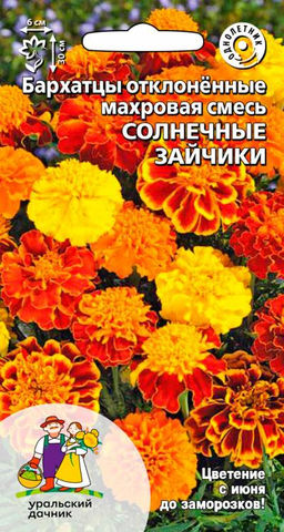 Бархатцы СОЛНЕЧНЫЕ ЗАЙЧИКИ