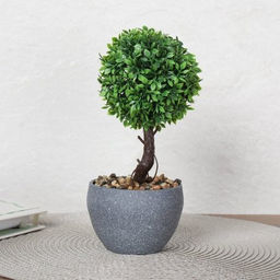 Цветочная композиция Зелень самшит 22 см / 9090-11 /уп 12/72/ - Галеонтрейд фото 2