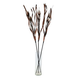 Сухоцвет набор 3 штук 150 см / GF-03 /уп 100/ коричневый - Галеонтрейд фото 4