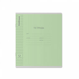 Цена за 280 шт. Тетрадь школьная ученическая ErichKrause Классика Visio ассорти, 12 листов, частая косая линейка (в плёнке по 10 шт.) фото 48