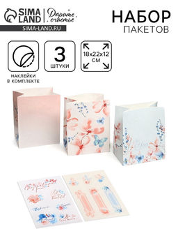 Пакет подарочный крафтовый со стикерами, Принцессы, 18?22?12 см - Дарите счастье фото 9