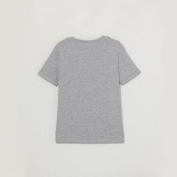 CRB wear/CWJG 62889-11-291 Футболка для девочки, светло-серый меланж/Ex.Cherubino  фото 2