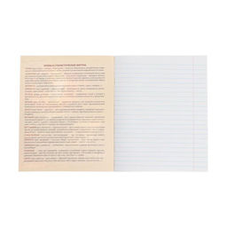 Тетрадь предметная Доска, 48 листов в линейку Литература, обложка мелованный картон, блок офсет - Calligrata фото 2