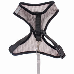 Цена за 2 шт. Шлейка с поводком 118см "Sweet puppy" размер ХL, цвет серый