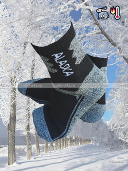 Цена за 3 пар. 3 ПАРЫ - "АЛЯСКА" Термоноски зимние спортивные ВНУТРИ МАХРА мужские арт.1268 41-47 (фактически 40-44)