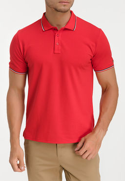 Джемпер мужской с воротником поло короткий рукав GREG G144-TS-3 (красный)