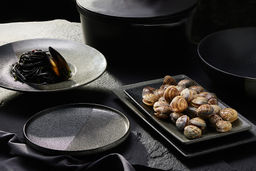 Блюдо, 27,5х16 см, фарфор P, черно-серое, в крапинку, прямоугольное, Umi - Maxwell & Williams фото 3