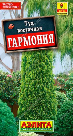 Туя восточная Гармония (2028)