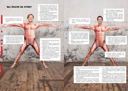 101 способ запудрить мозги и заодно развлечься. Секреты успешных иллюзионистов. Мидс В., Верпорт О. - Колибри фото 4