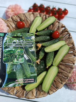 Огурец САМО СОВЕРШЕНСТВО F1 Уникальный! - Уральский дачник фото 7