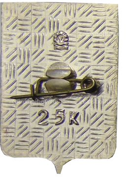 Значок Копейск