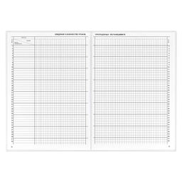 Классный журнал 10-11 класс арт. 5193