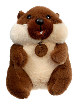 Мягкая игрушка «Бобёр», 21 см