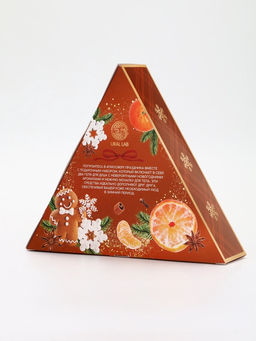 Подарочный набор новогодний: гель для душа 2 шт х 100 мл, мочалка для тела, аромат мандарин и тыква, URAL LAB