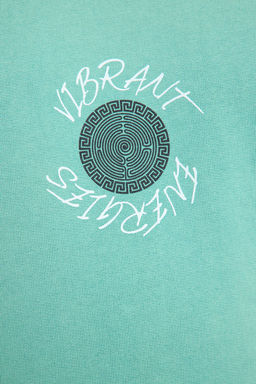 Mint Oversize/Genis Kesim Yaz? S?rt Bask?l? Soluk Efektli Sardonsuz Sweatshirt TMNAW25SW00043