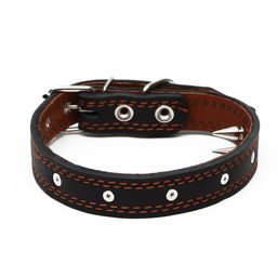 Ошейник кожаный Строгий шип, 56 х 2.5 см, ОШ 35-45 см, чёрный