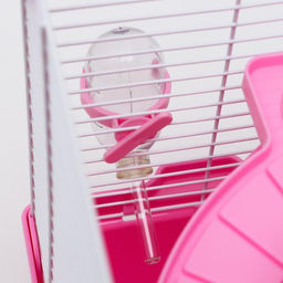 Клетка для грызунов укомплектованная, 23 х 19 х 28 см, розовая - Пижон фото 8