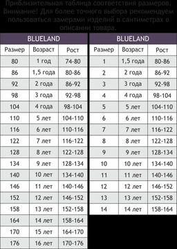 Рубашка оверсайз для девочки Blueland  фото 3