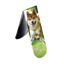 Цена за 3 шт. Набор магнитных закладок для книг Calligrata «Собачки», 6 штук, МИКС