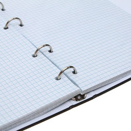 Тетрадь на кольцах, в клетку, 120 листов Графика, обложка 7БЦ, блок офсет - Calligrata фото 5