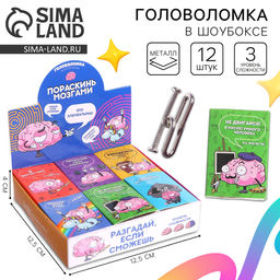 Цена за 12 шт. Головоломка металлическая «Пораскинь мозгами», МИКС, в шоубоксе