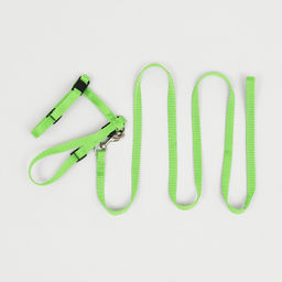 Комплект для кошек, ширина 1 см, ОШ 16,5-27 см, ОГ 21-35 см, поводок 120 см, зелёный - Пижон фото 7