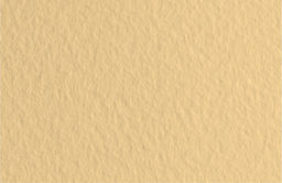 Fabriano Бумага для пастели Tiziano 160 г/м2 A1+ 70 х 100 см лист 10 л. Zabainoe/Кремовый насыщенный 52811005