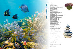 Загадки морей и океанов. - Махаон фото 2