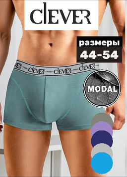 Трусы мужские шорты МОДАЛ