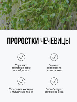 Смесь из ПЯТИ видов проростков БЕЗ ГЛЮТЕНА 150г (зеленая гречка, чечевица, нут, кукуруза, фасоль) (5